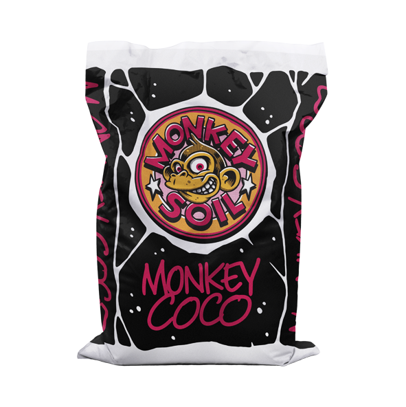 Monkey Coco
